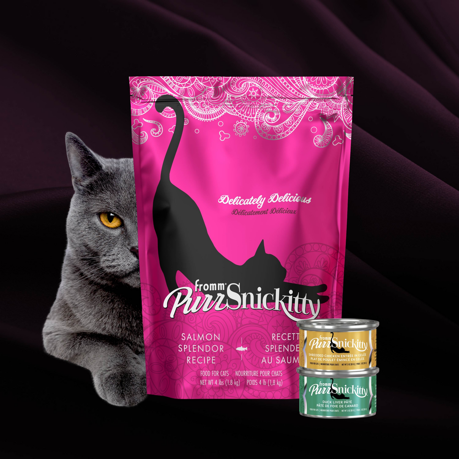 Fromm PurSnickitty Salmon Splendor Recipe Cat Dry Food