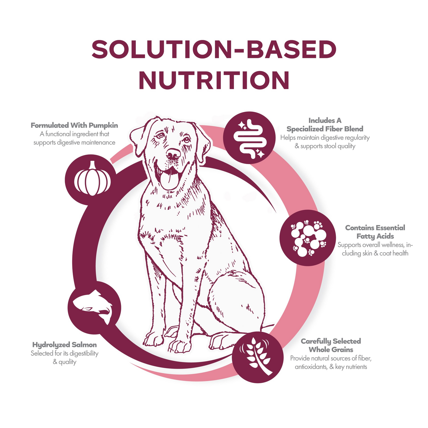 Fromm Nutritionals Sensitive Skin & Stomach Salmon & Whole Oats Recipe Dog Dry Food